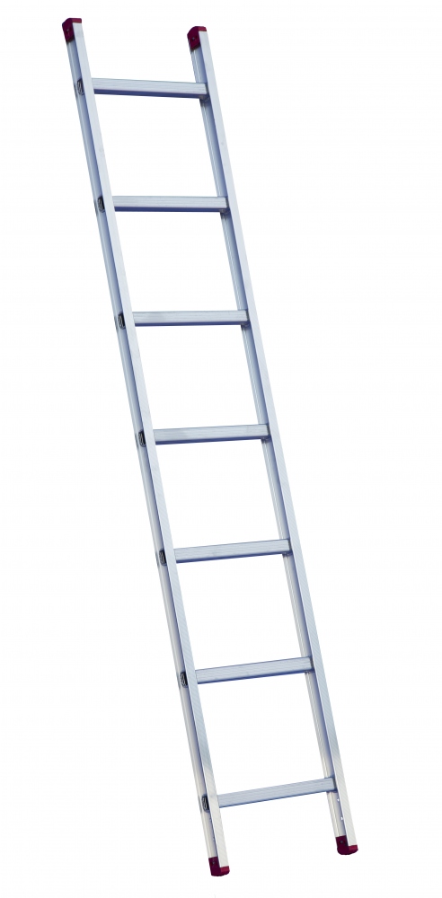 pics/Rise Tec/rise-tec-8006-1-part-leaning-rung-ladder.jpg